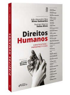 DIREITOS HUMANOS - CONTEXTOS E PERSPECTIVAS - 1ª ED - 2022