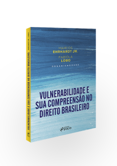 VULNERABILIDADE E SUA COMPREENSÃO NO DIREITO BRASILEIRO - 1ª ED - 2021